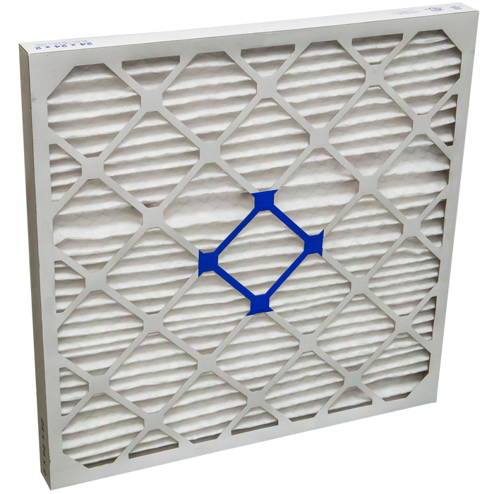 Pre-Filter for HEPA 2000 (12 pk)